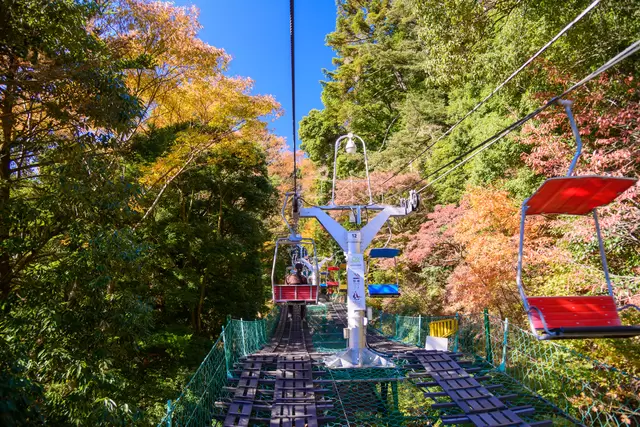 Top 5 Spectacular Places to See Autumn Leaves near Tokyo