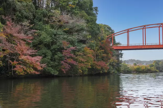 関東地方の絶景紅葉スポット5選(奥多摩、高尾山、三渓園、中津峡他)