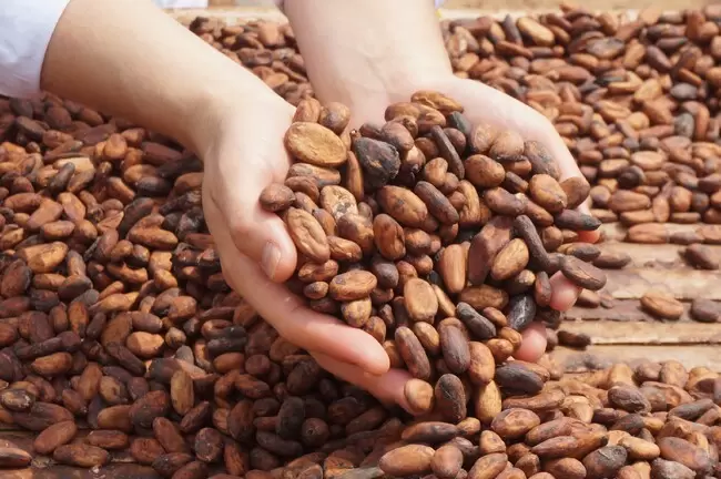 LOTTE DO Cacao STORE 東京澀谷