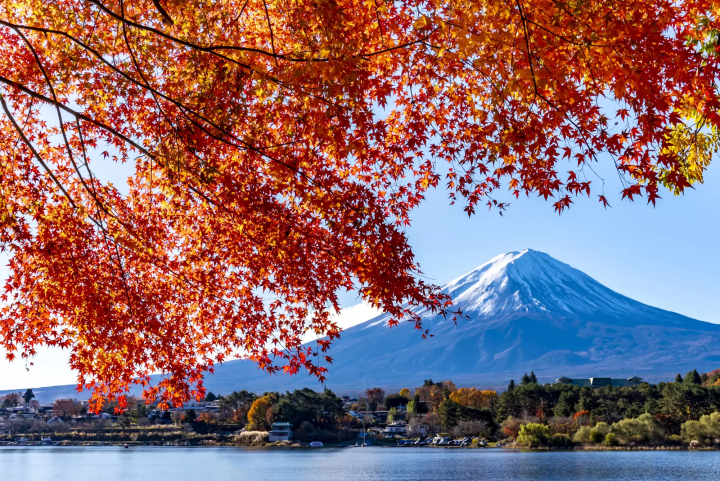 Mt. Fuji during autumn