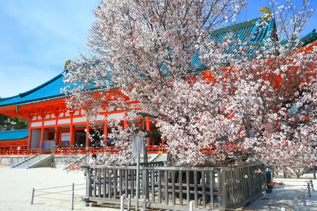 จำลองที่พำนักของราชวงศ์!?「ศาลเจ้าเฮอันจิงงู」จ.เกียวโต