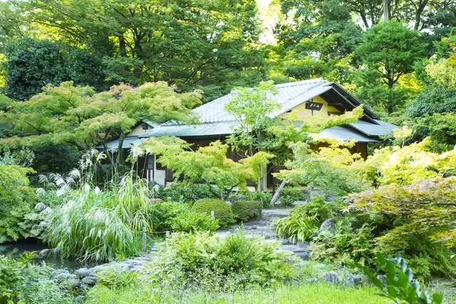 原來東京也有這種地方！在東京尋找大自然的療癒綠洲景點4選