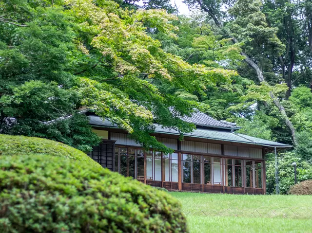 原來東京也有這種地方！在東京尋找大自然的療癒綠洲景點4選