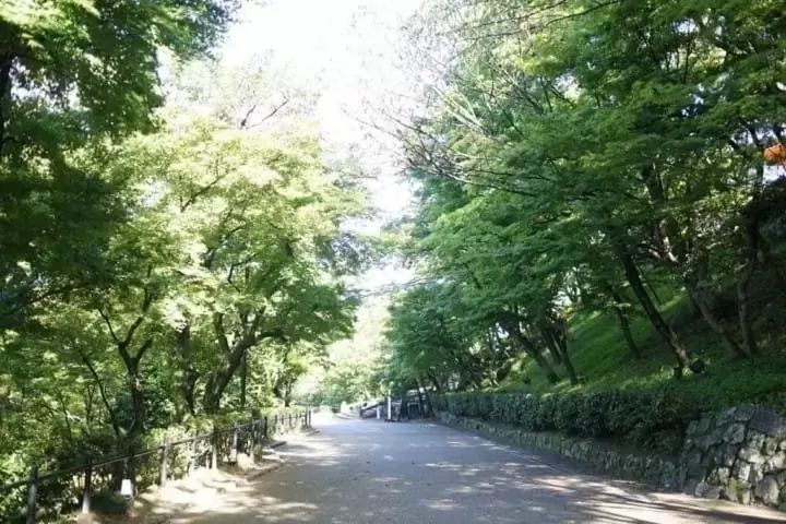 【清水寺】永遠不嫌膩!忍不住又排進行程的清水寺一日遊