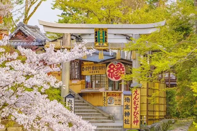 京都賞櫻 地主神社