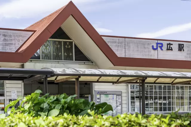 Hiroshima Guide: Sightseeing Highlights, Cuisine And More