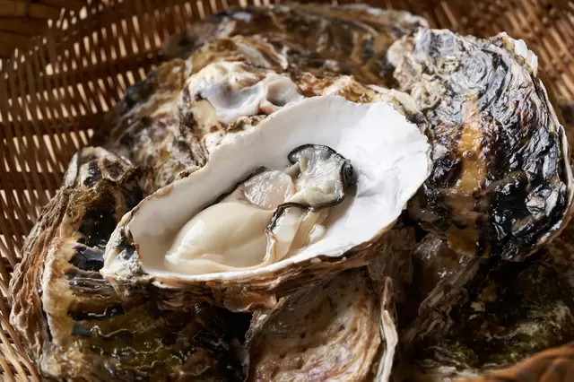 Hiroshima Guide: Sightseeing Highlights, Cuisine And More