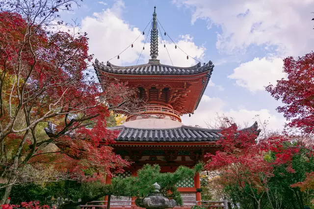 Hiroshima Guide: Sightseeing Highlights, Cuisine And More