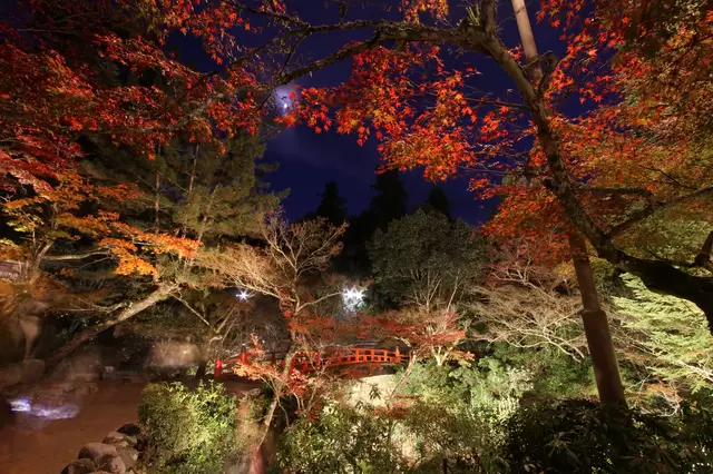 Hiroshima Guide: Sightseeing Highlights, Cuisine And More