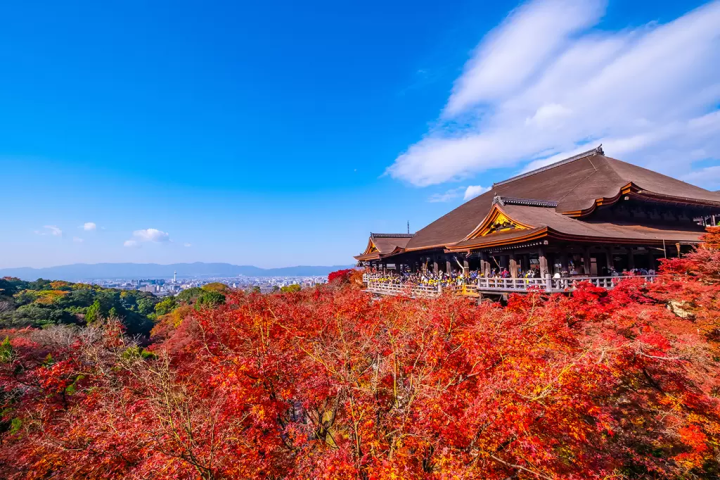 5 of the Best Destinations to Access by Highway Bus in Japan