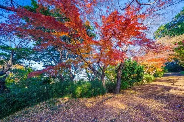 鎌倉完全ガイド！観光スポット20選、カフェ、グルメ、イベント、移動手段など