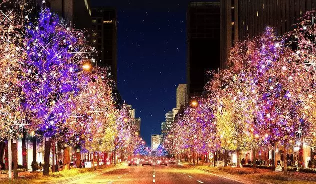 大阪・光之饗宴御堂筋illumination 2022