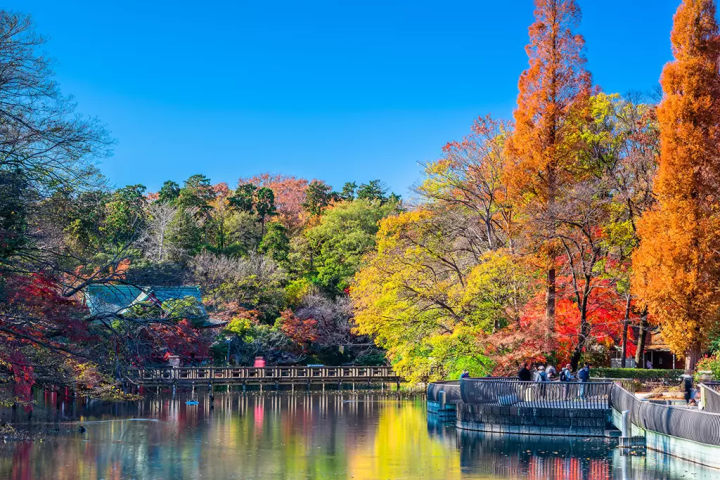 井之頭公園
