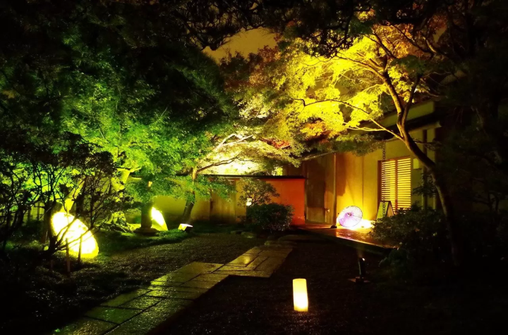 Experience Captivating Lights & Culture at Mihama-en Garden this November 