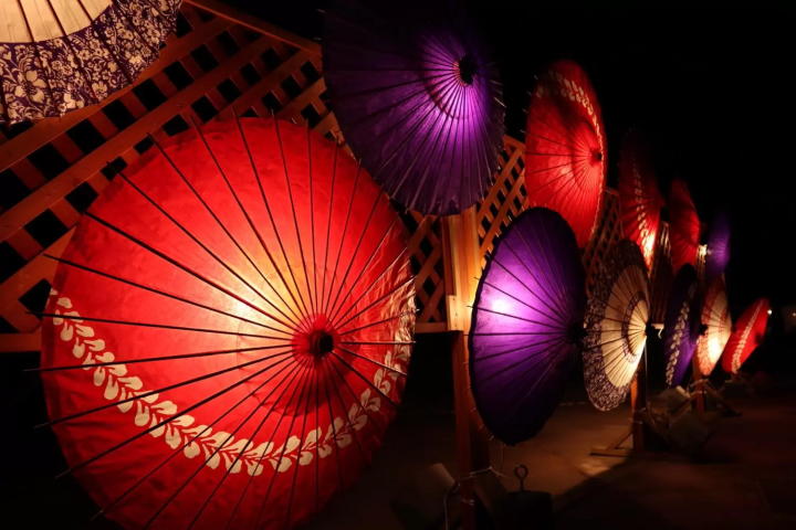 Experience Captivating Lights & Culture at Mihama-en Garden this November 