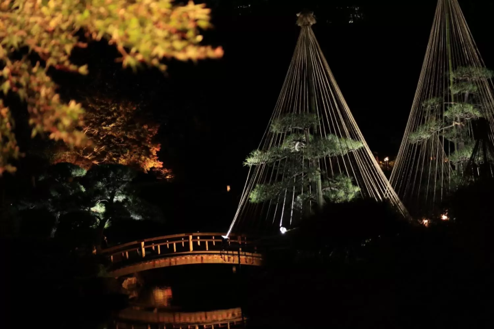Experience Captivating Lights & Culture at Mihama-en Garden this November 