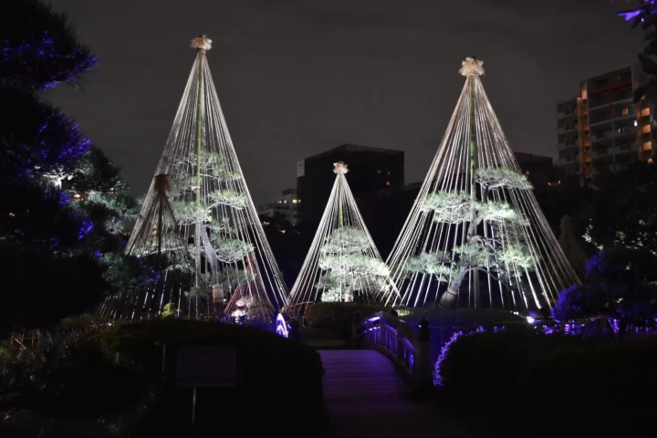 Experience Captivating Lights & Culture at Mihama-en Garden this November 