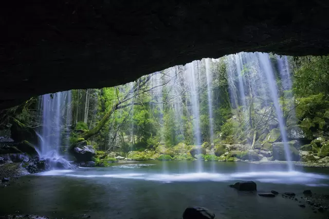 熊本魅力再發現！交通、最新觀光景點、美食、祭典一次掌握