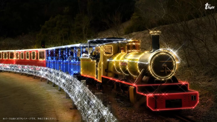 Shuzenji Illumination 