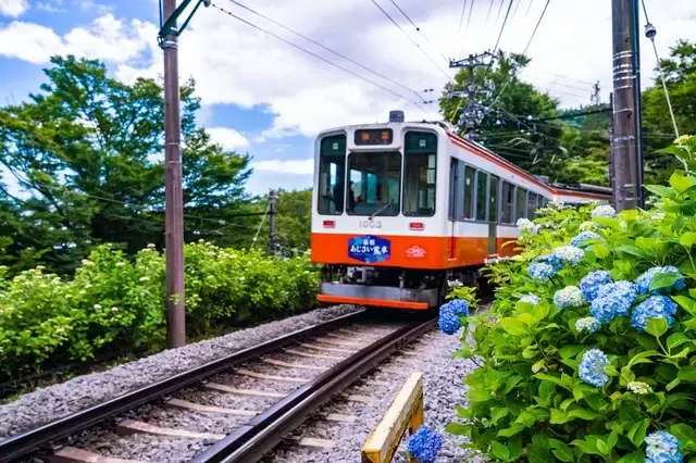 Kanagawa Travel Guide: Enjoy The Best Of Hakone, Kamakura, Yokohama