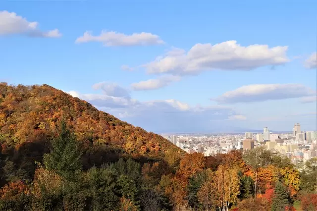 迎接最早的浪漫紅葉! 5個北海道人氣賞楓景點