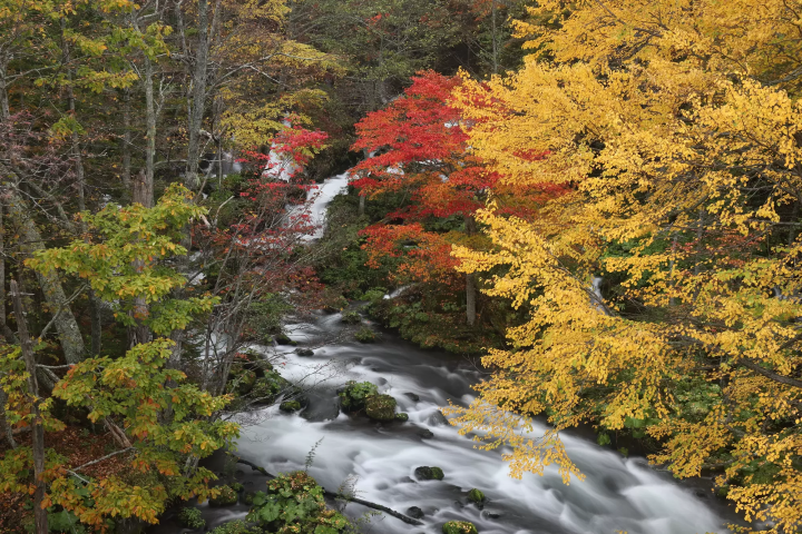 迎接最早的浪漫紅葉! 5個北海道人氣賞楓景點