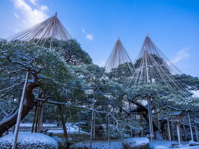 冬に訪れたくなる！素敵な雪景色に出会えるスポット5選