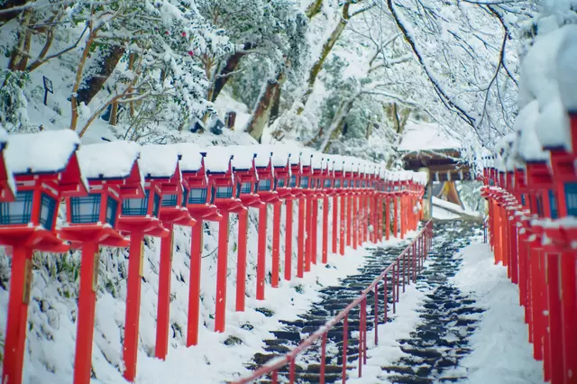 冬に訪れたくなる！素敵な雪景色に出会えるスポット5選