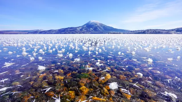 北海道100％ガイド！名所41選＆交通・ホテル・おみやげ・気候など情報まとめ