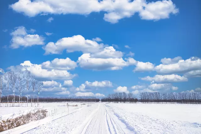 Hokkaido Travel Guide: Points of Interest, Weather, Events, and More!