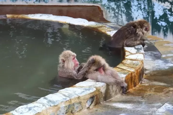 Hokkaido Travel Guide: Points of Interest, Weather, Events, and More!