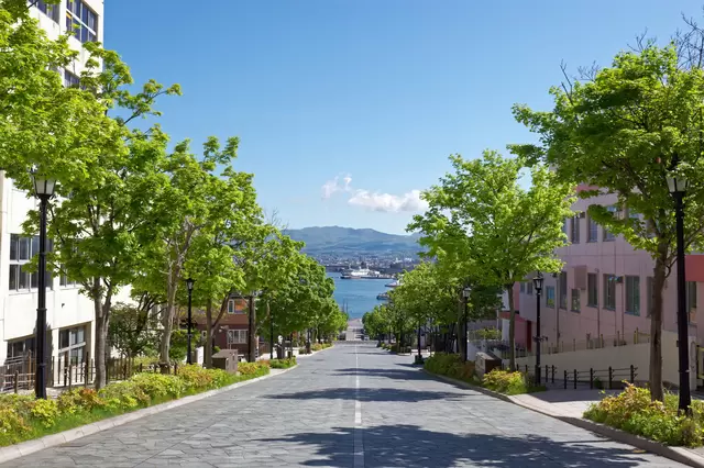 Hokkaido Travel Guide: Points of Interest, Weather, Events, and More!