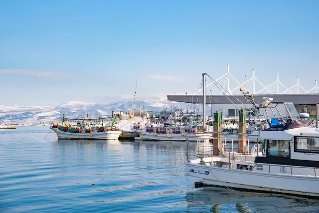 Hokkaido Travel Guide: Points of Interest, Weather, Events, and More!