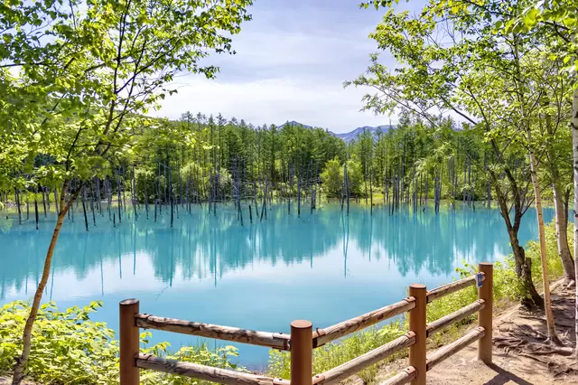 Hokkaido Travel Guide: Points of Interest, Weather, Events, and More!