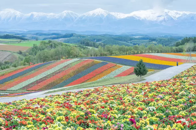 Hokkaido Travel Guide: Points of Interest, Weather, Events, and More!