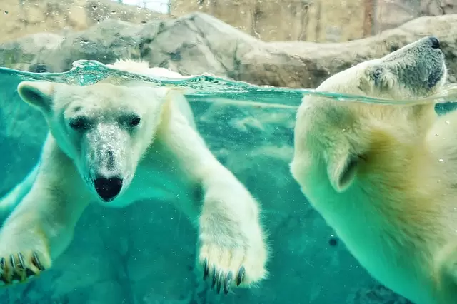 Hokkaido Travel Guide: Points of Interest, Weather, Events, and More!