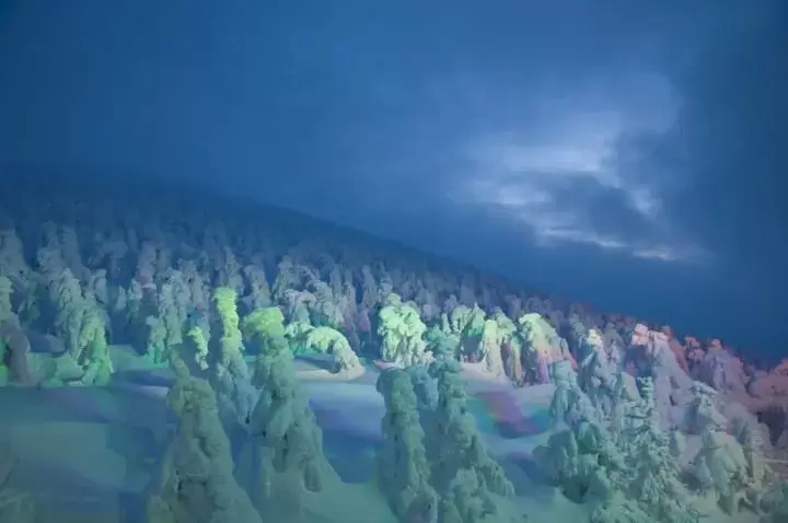 5 of The Best Winter Sights to See in Japan