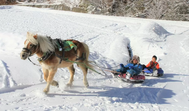 ニセコ観光ガイド〜人気のスキーリゾートから観光地・アクセスまで〜