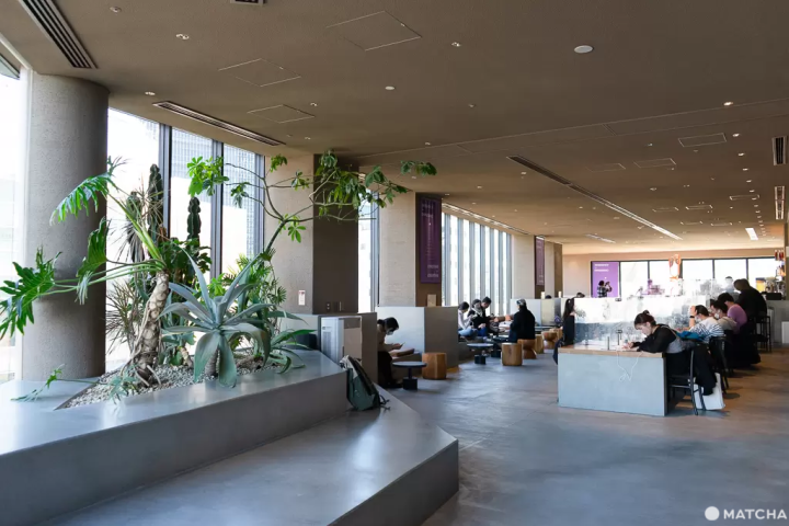 VALLEY PARK STAND室內