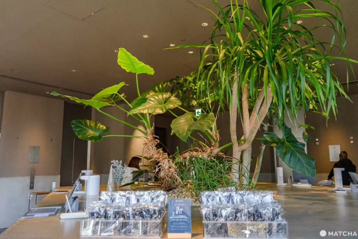 【澀谷】睡到中午再出門！東京璀璨夜景包圍的飯店「sequence MIYASHITA PARK」