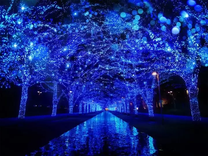 聖誕時節到來，來東京品味星光般的彩燈【2022~2023年版】