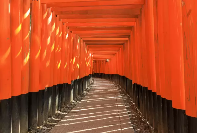 訪日観光者の人気第1位、京都「伏見稲荷大社」を探検！