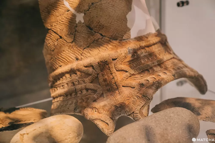 5千年前の日本へ！ユネスコ世界遺産・青森「三内丸山遺跡」