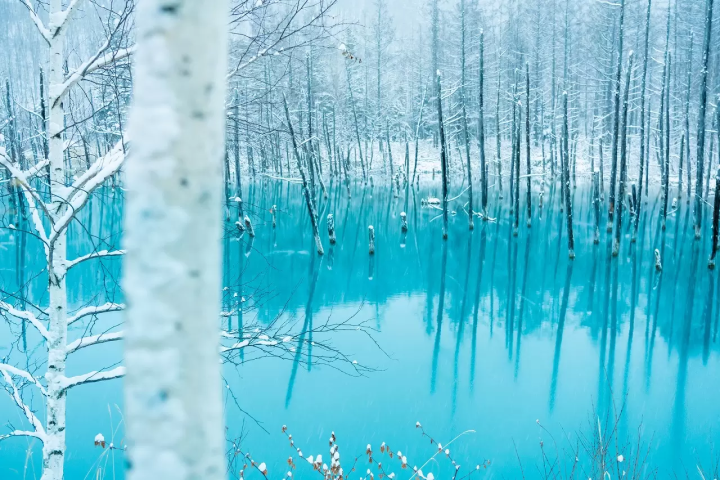 Hokkaido Guide: 40 Destinations and Fun Things to Do, Events, and More