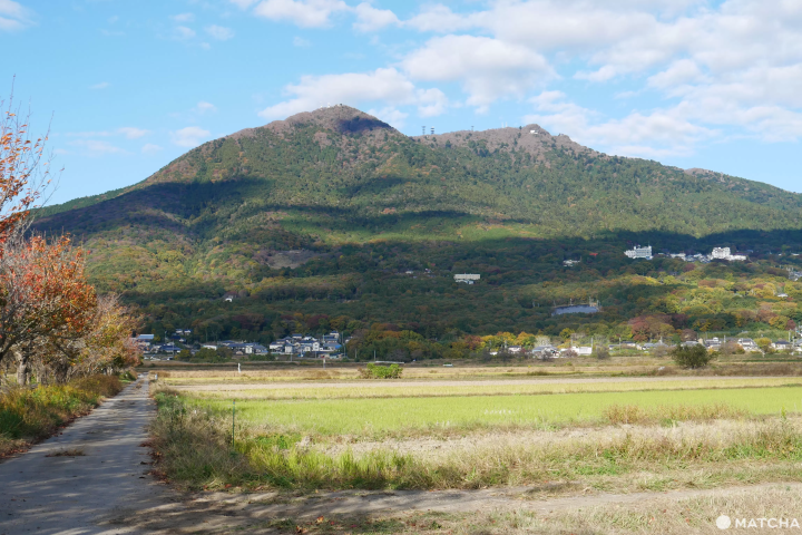 【2023】最完整的茨城觀光oo選！交通、景點、美食通通有