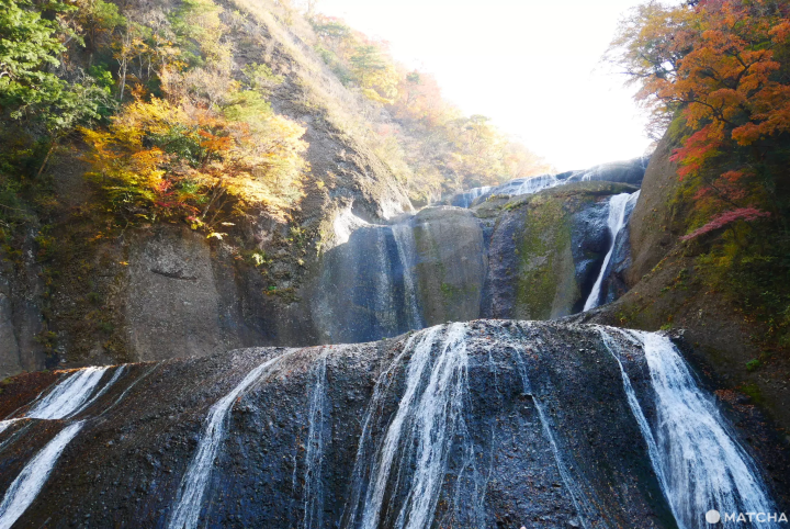 【2023】最完整的茨城觀光oo選！交通、景點、美食通通有