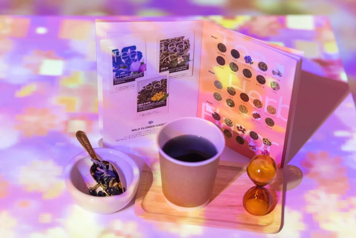 NAKED FLOWERS FOR YOU: Enjoy Cherry Blossoms Early at this Immersive Art Cafe Experience!