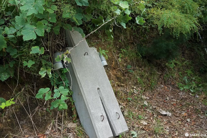 Kunisaki Art Trip: Magnificent Nature, Public Art, and Ancient Sites