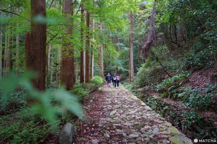 Kunisaki Art Trip: Magnificent Nature, Public Art, and Ancient Sites