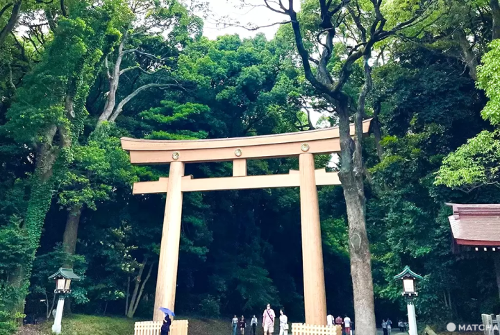 東京永遠去不膩！一次走遍人氣與新興景點這樣排最順！